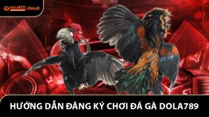 Hướng Dẫn Đăng Ký Chơi Đá Gà Dola789 Chi Tiết Từ A–Z