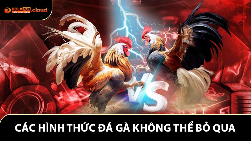 Các hình thức đá gà không thể bỏ qua