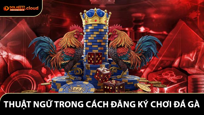 Thuật ngữ cần thiết trong cách đăng ký chơi đá gà